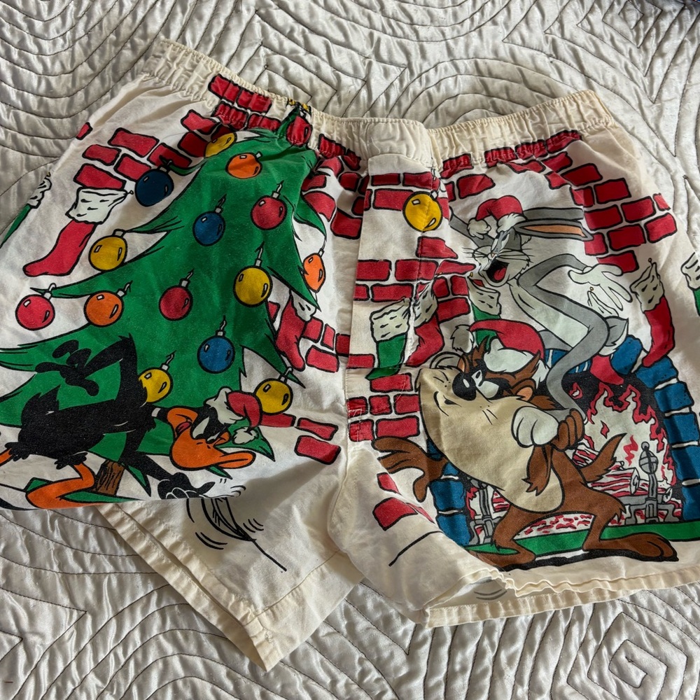 Vintage 1993 Tasmanian Devil boxer shorts Warner Bros Daffy Duck Bugs Bunny Taz!